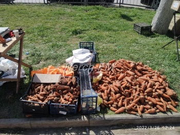 Новости » Общество: На сельхозярмарке керчане нашли дешевле только морковку