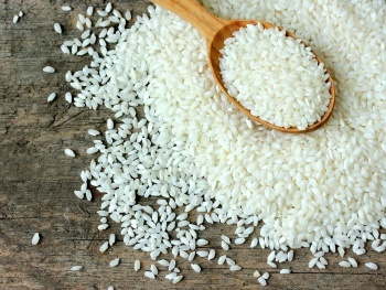Новости » Общество: Крымские фермеры будут закупать семена риса на Кубани