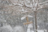 Новости » Общество: Южные и восточные районы Крыма в субботу «накроет» снегопад