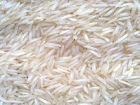 В этом году в Крыму хотят возобновить производство риса