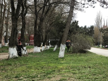 Новости » Общество: В Аршинцево приступили к покосу травы