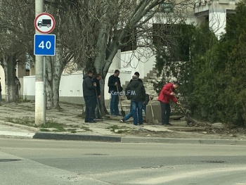 Новости » Общество: В Керчи около здания мировых судей решили навести порядок