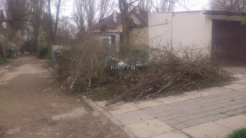 Новости » Коммуналка: На Парковой обрезали ветки деревьев, свалили в кучу  и не спешат вывозить