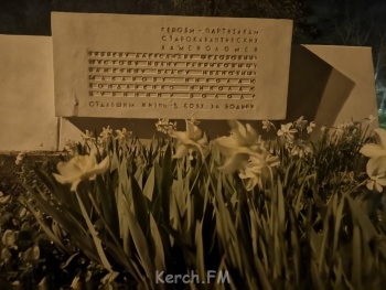 Новости » Общество: Керчане просят исправить орфографическую ошибку на памятнике погибшим партизанам