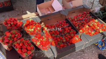 Новости » Общество: В Керчи около оптового рынка прошла сельскохозяйственная ярмарка