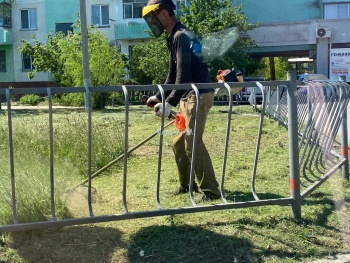 Новости » Общество: В Керчи продолжают убирать траву вдоль дорог