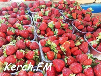 В Крымстате рассказали об увеличении площадей ягодных насаждений