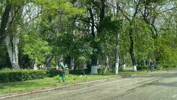 Новости » Общество: На Кирова и в Аршинцево вдоль дороги косили траву