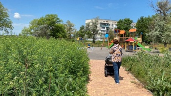 Новости » Общество: Трава в парке им. Гагарина выросла в человеческий рост