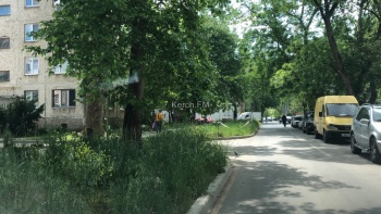 Новости » Общество: На обочинах по ул. Мира из-за травы не видно машин на перекрёстках