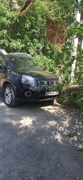 У больницы водников в Керчи  дерево упало на машину