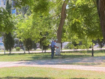 Новости » Общество: В Керчи вдоль обочин косят траву, а Комсомольский парк уже зарос по пояс