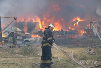 Новости » Общество: Человеческий фактор: в Крыму назвали основную причину пожаров