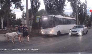 В Керчи водитель чуть не снес пешеходов на пешеходном переходе (видеорегистратор)