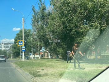 Новости » Общество: В Керчи продолжают убирать траву вдоль дорог