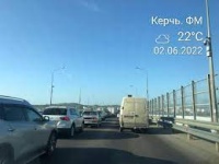 Новости » Общество: Керчан интересует, кто должен убирать трупы пернатых на путепроводе по ШГС