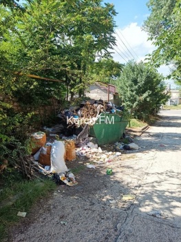 На ул. Дзержинского неделями не вывозят мусор