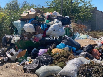 Керчане жалуются на горы мусора на ул. Полевой