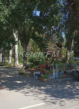 Керчане пожаловалось на очередных стихийщиков в районе Аршинцево