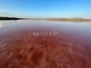 Розовое озеро под Керчью приманивает туристов и местных жителей