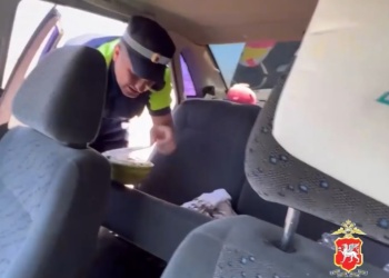 Новости » Общество: Грибы и марихуану нашли сотрудники ГАИ Керчи у водителя перед Крымским мостом