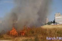 Новости » Общество: В Крыму сохранится высокая пожароопасность на ближайшее дни