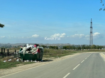 Новости » Общество: На городском кладбище в Керчи не вывозят мусор