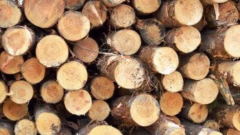 Новости » Общество: В Крыму снижают цены на дрова
