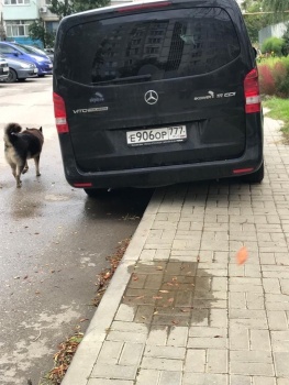 Новости » Общество: "Автохамы" разрушают дорожки в благоустроенных дворах Керчи, - жители дома