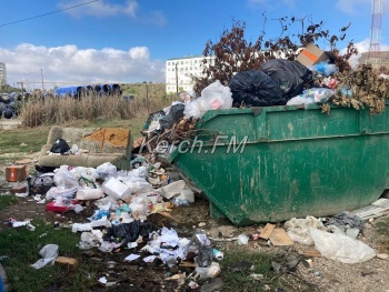 Новости » Общество: На улице Марата в Керчи перестали вывозить мусор