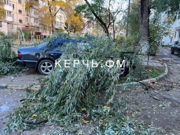 Новости » Криминал и ЧП: Ночью в Керчи ветер повалил деревья на автомобили