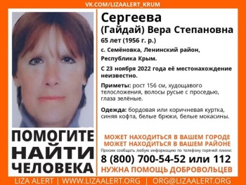 Новости » Криминал и ЧП: В Ленинском районе разыскивают без вести пропавшую 65-летнюю женщину