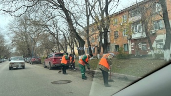На Кирова коммунальщики приступили к уборке опавшей листвы