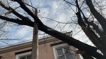 Огромная ветка дерева повисла на опоре освещения над парковкой на Суворова