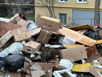 Новости » Общество: Рядом с мусорными контейнерами  у домов на Семи Ветрах растет свалка