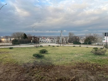 Новости » Общество: Засохшие деревья и кусты на кольце при въезде в Керчь убрали