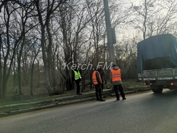 Новости » Общество: В Керчи приступили к расчистке обочин и обрезке деревьев на Годыны