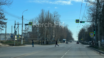 Новости » Общество: Водители Керчи просят пешеходов не бегать через дорогу на красный сигнал светофора