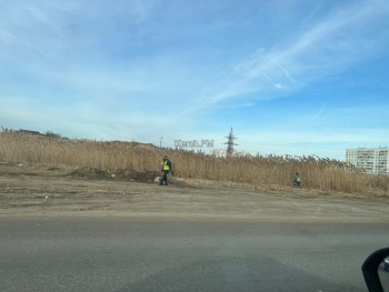 Новости » Общество: В Керчи косят камыши, выросшие вдоль дорог