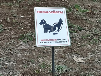 Новости » Общество: Крымское республиканское СМИ обратило внимание на сортировку собачьих экскрементов
