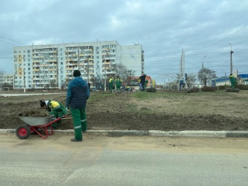 Новости » Общество: Зеленхоз активно приводит в порядок кольцо на Ворошилова