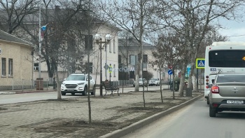 На Пирогова в Керчи высадили саженцы платанов