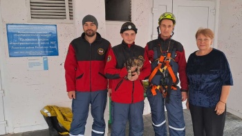 Крымские спасатели спасли двух котят, застрявших в вентиляционных шахтах в разных городах