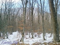Новости » Общество: На сегодня по Крыму объявлено штормовое из-за снега, но ждут его только в горах