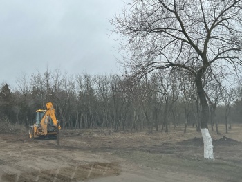 Лесополосу на «Телецентре» теперь видно с дороги