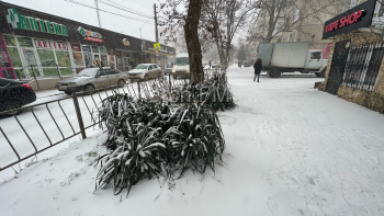 Новости » Общество: На два дня в Крыму ожидаются морозы до -13 градусов