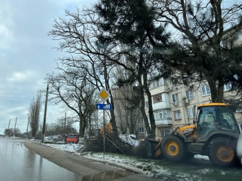 Только после жалоб в Аршинцево начали вывозить ветки с обочин