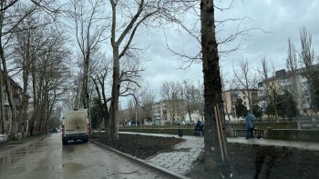Новости » Общество: В Керчи начали приводить в порядок газоны на Борзенко