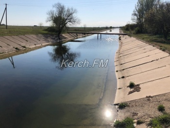 Новости » Общество: Вода в Северо-Крымском канале безопасна, — эксперт