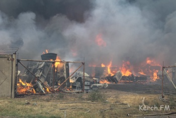 Новости » Общество: Противопожарную работу в Крыму назвали слабой